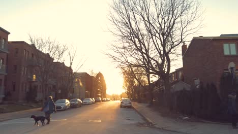 Setting-sun-shines-down-street-with-woman-and-dog-in-crosswalk