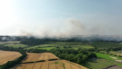 Forest-fire-filmed-at-Slapewath-Charltons,-Guisborough-Teesside-just-after-it-broke-out