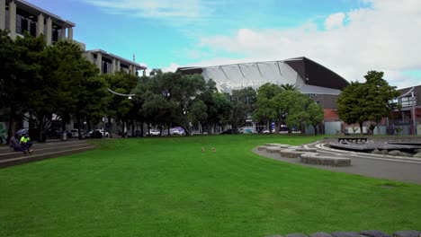 Dos-Perros-Corren-Por-El-Bien-Cuidado-Parque-Verde-Mahuhu-Ki-Te-Rangi-Con-Spark-Arena-Al-Fondo-En-Un-Hermoso-Día-De-Verano-En-Auckland,-Nueva-Zelanda