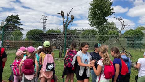 Children-in-the-zoo-at-the-primate-enclosure