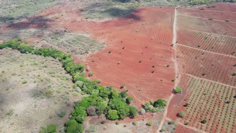 Drone-Mavic-Air-2-flying-over-the-hill-in-the-Africa-savanna-desert-zone