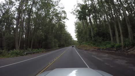 Driving-on-the-road-in-Hawaii-surrounded-by-tropical-trees,-dash-cam-pov