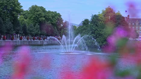 View-at-Buitenhof-of-Hofvijver-with-island-in-background-in-Dutch-city-Den-Haag-with-colored-flowers-in-foreground