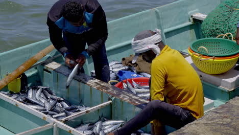 Frisch-Gefangener-Fisch-Wird-Von-Einem-Fischerboot-In-Fischkisten-Entladen,-Größter-Fischereihafen-In-Kerala