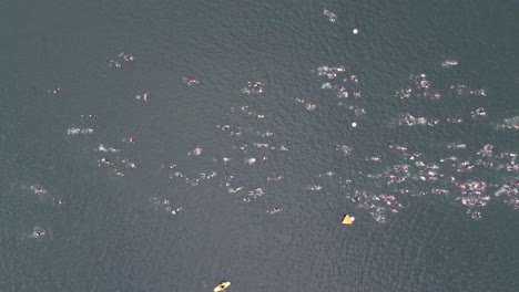 Ariel-top-shot-of-Triathlon-at-Dorney-lake,-triathletes-swimming-and-competing-with-each-other