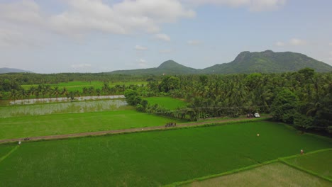 Kollengode,palakkad:-Un-Pueblo-Fronterizo-En-El-Distrito-De-Palakkad-Famoso-Por-Su-Hermosa-Y-Vasta-Extensión-De-Arrozales-Y-Cascadas