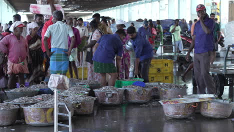 Frisch-Gefangener-Fisch-Wird-Von-Einem-Fischerboot-In-Fischkisten-Entladen,-Größter-Fischereihafen-In-Kerala