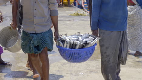 Frisch-Gefangener-Fisch-Wird-Von-Einem-Fischerboot-In-Fischkisten-Entladen,-Größter-Fischereihafen-In-Kerala