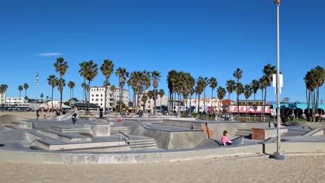 People-are-active-in-a-skatepark-surrounded-by-palm-trees-on-a-cloudless-day-with-a-blue-sky,-pan-shot-in-slow-motion-with-copy-space