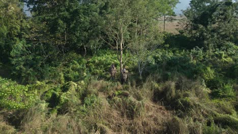 Safari-En-Elefante-Por-La-Jungla-En-El-Parque-Nacional-Chitwan,-Nepal