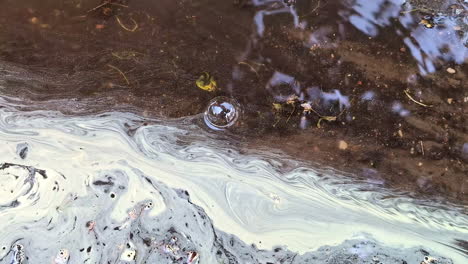 Burbujas-Y-Espuma-De-Jabón-En-Un-Charco-De-Agua-Que-Fluye.