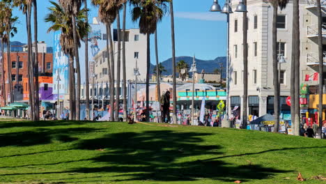 Palmeras-Bordean-El-Vibrante-Paseo-Marítimo-De-Venice-Beach-En-Los-Ángeles-Bajo-Un-Cielo-Azul-Claro