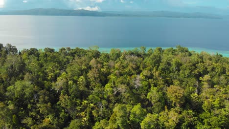 Aerial-view-of-the-dense-tropical-rainforest-on-Kri-Island-in-Raja-Ampat,-Indonesia,-with-the-clear-blue-ocean-in-the-background