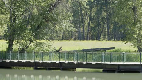 Peaceful-forest,-meadow,-pond,-foot-bridge-in-Calgary-Bird-Sanctuary