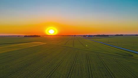 Golden-Sunlight-Over-Vast-Cultivated-Farmland-During-Sunset