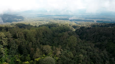 Flight-Over-Lush-Forest-In-Mount-Agung-In-Bali,-Indonesia---Drone-Shot