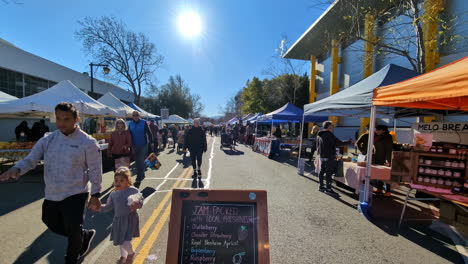 Local-people-walk-and-buy-groceries-at-Auckland's-organic-market,-daylight-in-new-Zealand