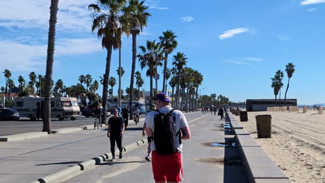 Sporty-people-walk-in-Summer-at-Venice-Beach,-famous-palm-tree-white-sand-shore