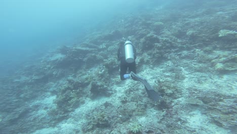 Un-Buzo-Solitario-Nada-Sobre-Un-Arrecife-De-Coral-En-Raja-Ampat,-Indonesia,-Explorando-El-Paisaje-Submarino