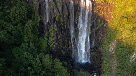 Amazing-Nature-Landscape-Of-Wairere-Falls-Flowing-On-Mossy-Rock-Cliffs-In-Waikato,-Okauia,-New-Zealand