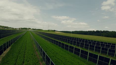 Drone-flying-above-the-agricultural-field-and-photovoltaic-system,-solar-panels-installed-in-rows-between-the-fields,-Styria,-Austria