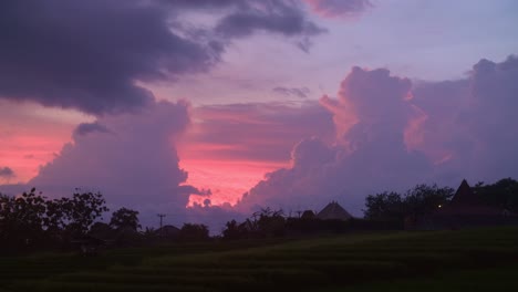 "Bali's-Verdant-Beauty:-Scenic-Views-of-Rice-Fields