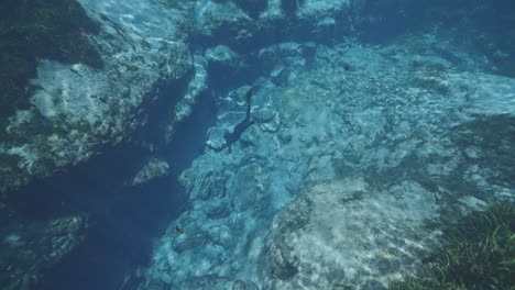 Diver-swimming-down-to-natural-spring-rocky-caves