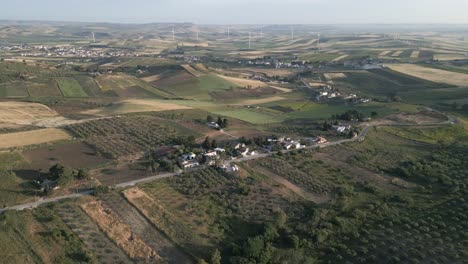 Sicily-Italy-olive-tree-plantation-for-olive-oil-production-hills-landscape-with-wind-turbine-at-distance-aerial