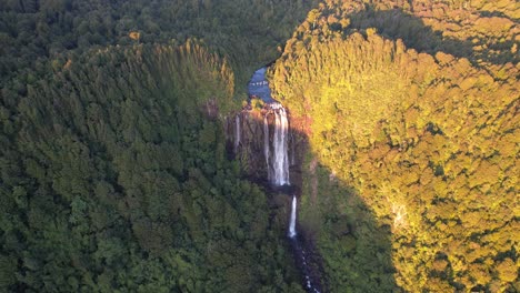 Vista-Aérea-De-Wairere-Cae-A-Través-De-Densos-Bosques-En-Waikato-Track,-Okauia,-Nueva-Zelanda