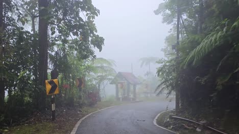 POV-Bewegung-Auf-Einer-Betonstraße-Im-Nebligen-Regenwald-Am-Morgen