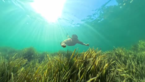 Buceo-En-Apnea-En-Una-Llanura-De-Posidonia-En-Mallorca