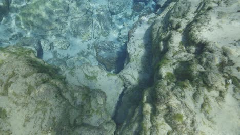 Vista-De-Buceo-A-Lo-Largo-De-Un-Acantilado-De-Roca-Bajo-El-Agua-En-Un-Manantial-Natural-De-Florida