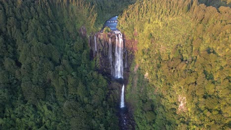 Highest-Waterfall-Of-Wairere-Falls-In-Okauia,-North-Island,-New-Zealand