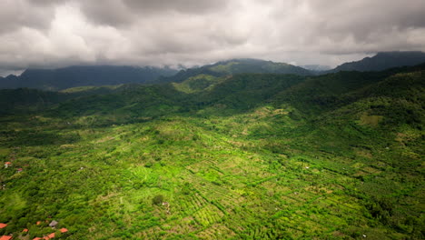 Farmlands-And-Rice-Terraced-Mountains-At-Banyuwedang-In-West-Bali,-Indonesia