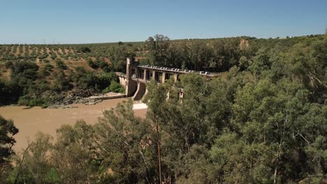 Upward-plane-of-a-hydroelectric-infrastructure-on-a-river-behind-vegetation