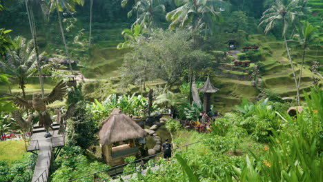 Tourists-At-Instagrammable-Spots-Of-Alas-Harum-Bali-In-Tegallalang,-Bali,-Indonesia