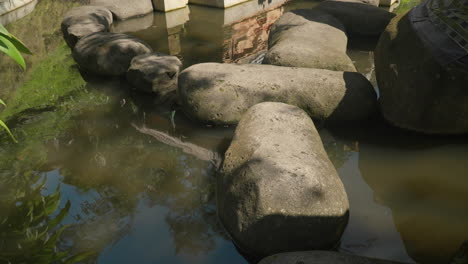 Piedras-Y-Agua-De-Estanque-Con-Un-Pequeño-Templo-Con-Techo-De-Paja-En-Alas-Harum-Bali-En-Indonesia