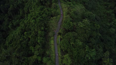 Aerial-view-of-people-on-Campuhan-Ridge-Walk,-lush-green-jungle-trail