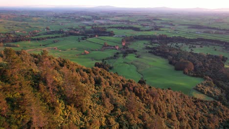 Lush-Mountain-And-Green-Fields-In-Waikato-Region,-North-Island,-New-Zealand---Aerial-Shot