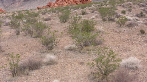 Low-angle-fly-by-aerial-shot-of-red-sandstones-rock-formation-in-Nevada