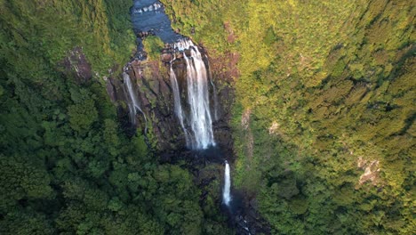 Above-View-Of-Wairere-Falls-Over-The-Kaimai-Escarpment-In-Waikato-Track,-North-Island,-New-Zealand