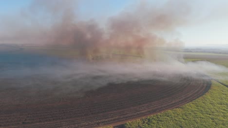 Vogelperspektive-Eines-Kontrollierten-Feuers,-Das-Strategisch-Zur-Bewirtschaftung-Von-Zuckerrohrfeldern-Eingesetzt-Wird