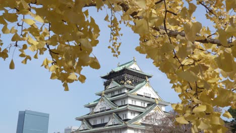 Castillo-De-Osaka-En-Osaka,-Japón,-Día-De-Otoño-Con-Hojas-Amarillas-Que-Cubren-El-Cielo