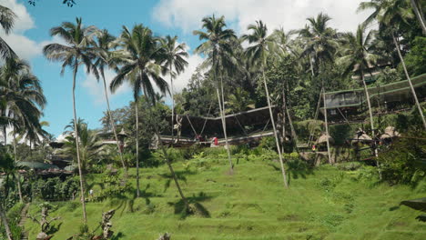 Woman-In-Long-Red-Dress-Swinging-Through-Palm-Trees-With-Rice-Field-Views-At-Alas-Harum-Bali,-Indonesia