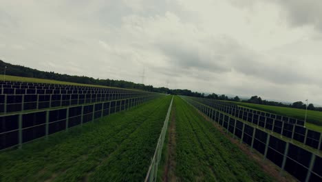 Drone-flying-above-the-agricultural-photovoltaic-system,-solar-panels-installed-in-rows-between-the-fields,-Styria,-Austria