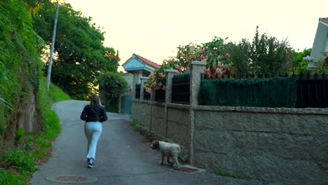 Blondes-Mädchen-Geht-Mit-Ihrem-Hund-Bei-Sonnenuntergang-In-Einer-Einsamen-Straße-Spazieren