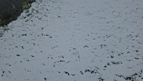 Pov-of-person-walking-in-a-snow-,-tilt-up-camera-to-reveal-moody-winter-landscape-with-lake