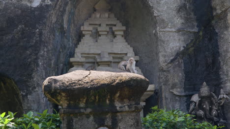 Gunung-Kawi-Temple-in-Bali-Safari-and-Marine-Park-with-Two-Crab-eating-Macaque-Monkeys-Sitting-on-Carved-in-Cliff-Stature,-Indonesia