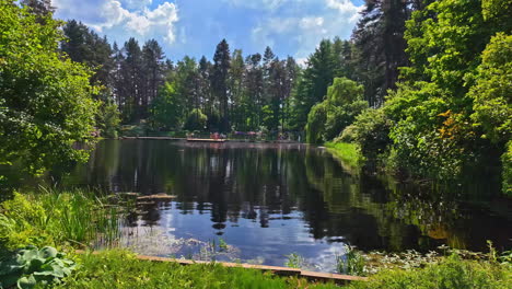 Ruhiger-Waldsee-Mit-Reflexionen-An-Einem-Heißen-Sommertag