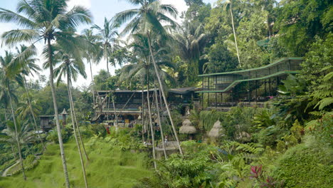 Famous-Swings-Of-Alas-Harum-Bali-In-Tegallalang,-Bali,-Indonesia